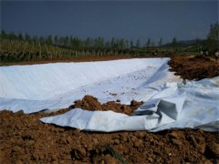 漢中農(nóng)業(yè)蓄水池復合膜防滲案例